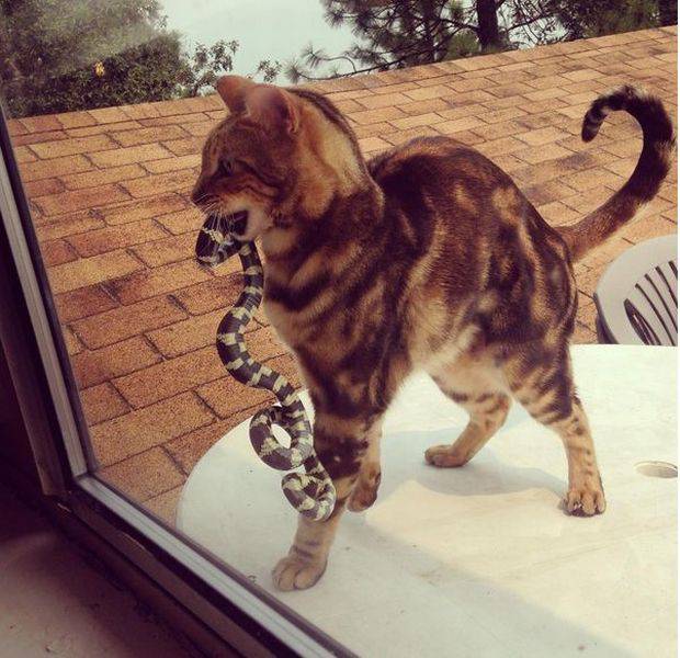 morning picdump 55 pics 12.html - 55 HD Photos | Premium Gallery 2016