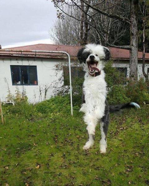 morning picdump 55 pics 12.html - 55 HD Photos | Premium Gallery 2016