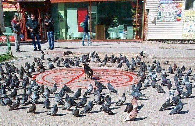 morning picdump 55 pics 12.html - 55 HD Photos | Premium Gallery 2016