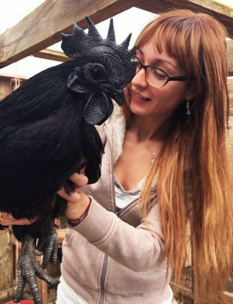 morning picdump 55 pics 12.html - 55 HD Photos | Premium Gallery 2016