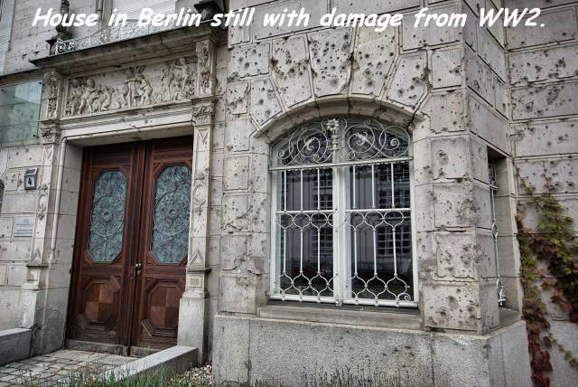 daily picdump 86 pics 38.html - 86 HD Photos | Premium Gallery 2016