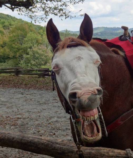 daily picdump 86 pics 38.html - 86 HD Photos | Premium Gallery 2016