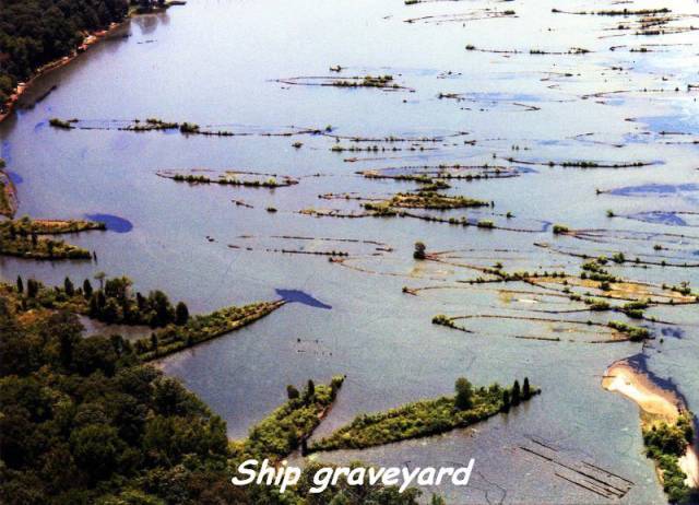 daily picdump 86 pics 38.html - 86 HD Photos | Premium Gallery 2016