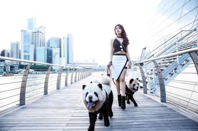 morning picdump 57 pics 29.html - 57 HD Photos | Premium Gallery 2016