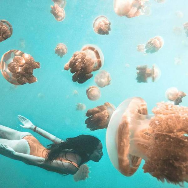 morning picdump 57 pics 29.html - 57 HD Photos | Premium Gallery 2016