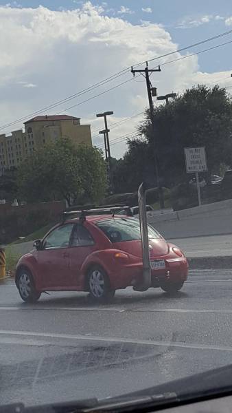 daily picdump weekend edition 65 pics 17.html - 65 HD Photos | Premium Gallery 2016