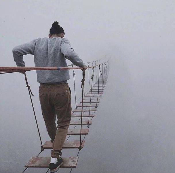 daily picdump weekend edition 65 pics 17.html - 65 HD Photos | Premium Gallery 2016