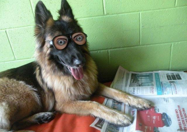 daily picdump weekend edition 65 pics 17.html - 65 HD Photos | Premium Gallery 2016