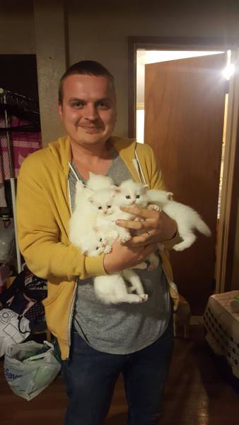 daily picdump weekend edition 65 pics 17.html - 65 HD Photos | Premium Gallery 2016