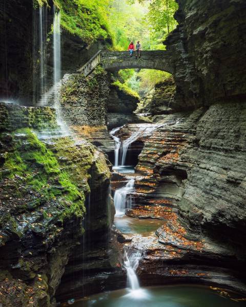 daily picdump weekend edition 65 pics 17.html - 65 HD Photos | Premium Gallery 2016