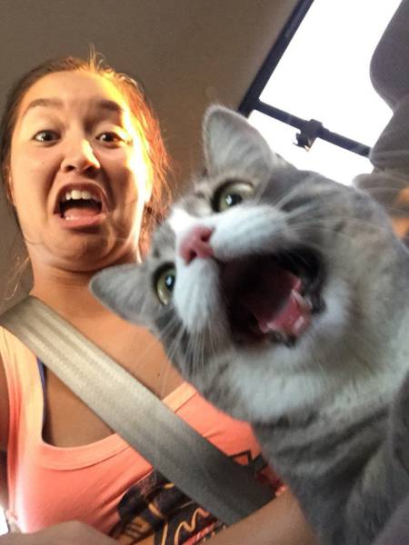 daily picdump weekend edition 65 pics 17.html - 65 HD Photos | Premium Gallery 2016