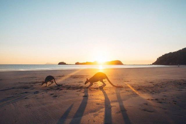 daily picdump weekend edition 65 pics 17.html - 65 HD Photos | Premium Gallery 2016