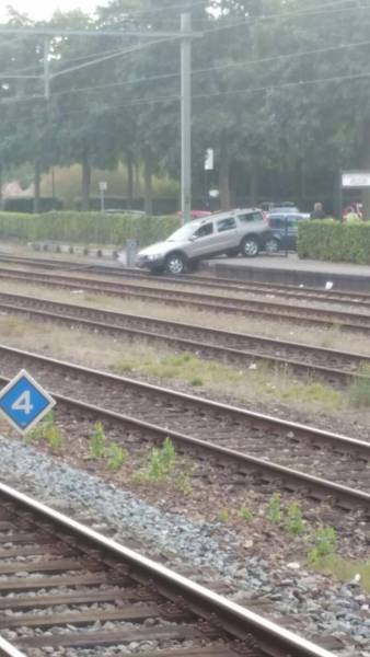 daily picdump weekend edition 65 pics 17.html - 65 HD Photos | Premium Gallery 2016