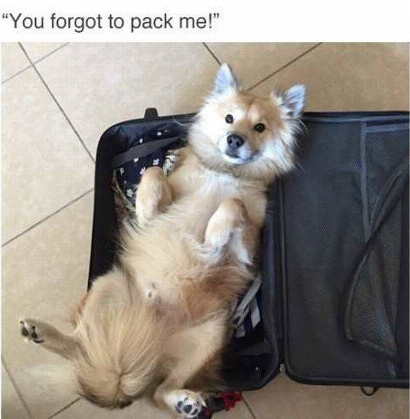 daily picdump 91 pics 39.html - 91 HD Photos | Premium Gallery 2016