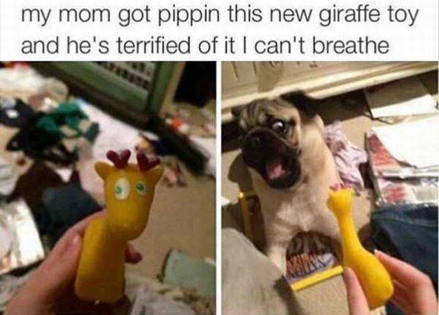 daily picdump 91 pics 39.html - 91 HD Photos | Premium Gallery 2016