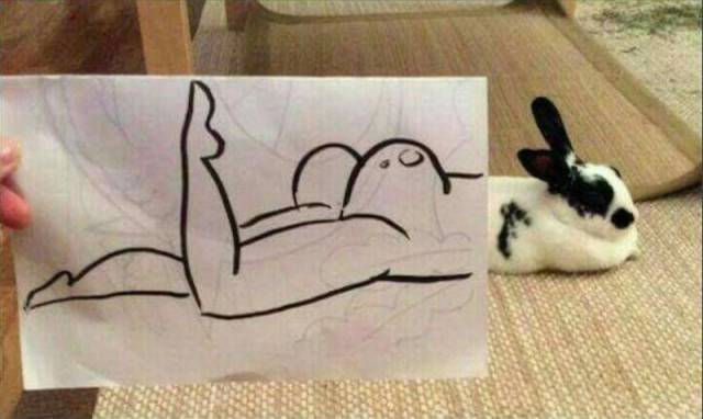 daily picdump 91 pics 39.html - 91 HD Photos | Premium Gallery 2016