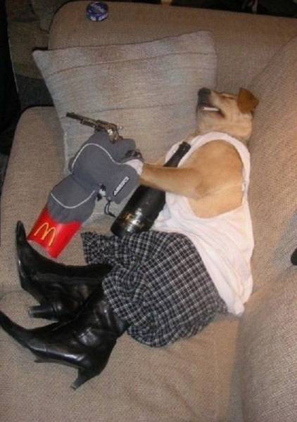 daily picdump 91 pics 39.html - 91 HD Photos | Premium Gallery 2016