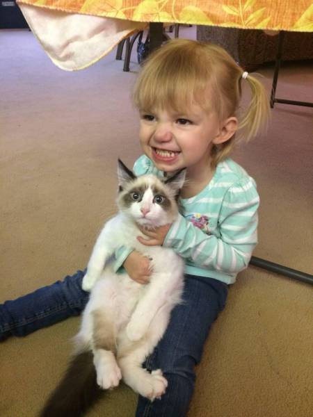 daily picdump 91 pics 39.html - 91 HD Photos | Premium Gallery 2016