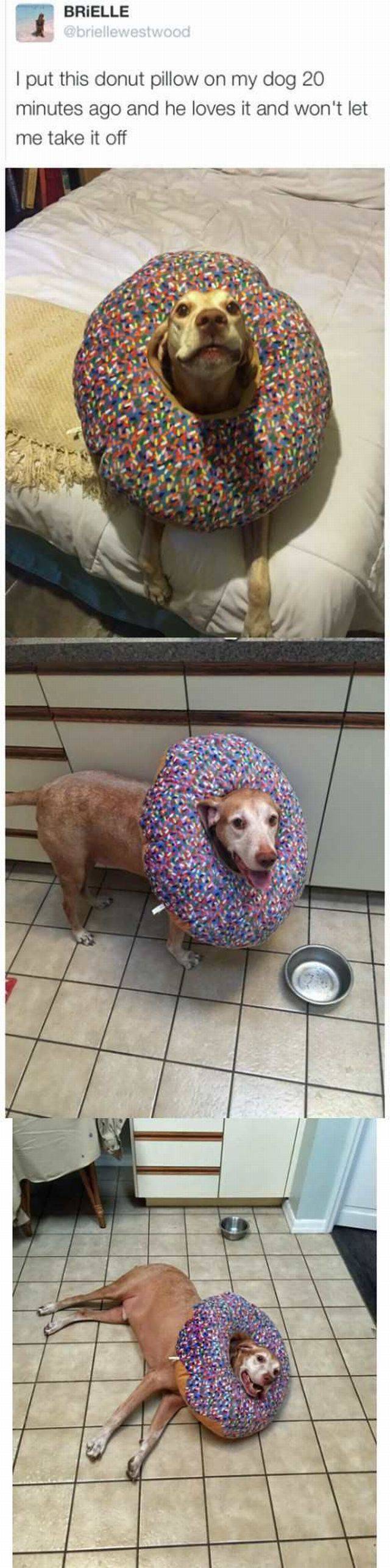 daily picdump 91 pics 39.html - 91 HD Photos | Premium Gallery 2016