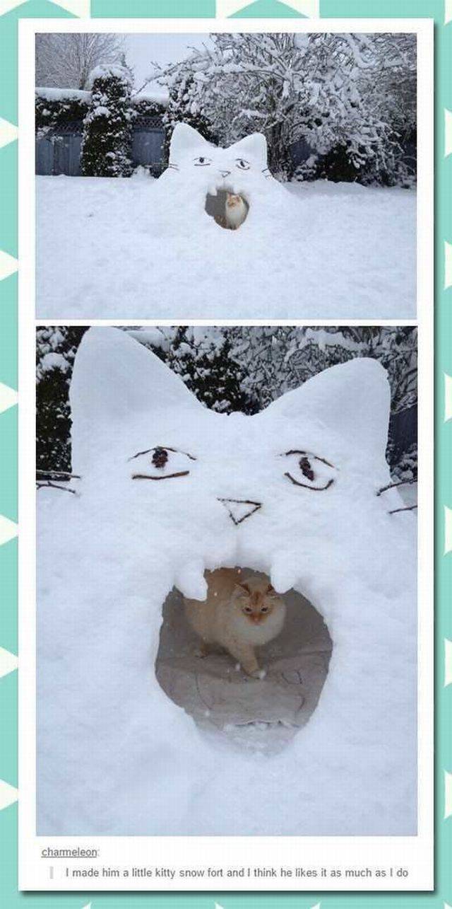 daily picdump 91 pics 39.html - 91 HD Photos | Premium Gallery 2016
