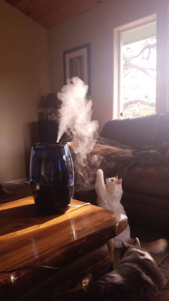 daily picdump 91 pics 10.html - 91 HD Photos | Premium Gallery 2016