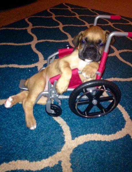 daily picdump 91 pics 10.html - 91 HD Photos | Premium Gallery 2016