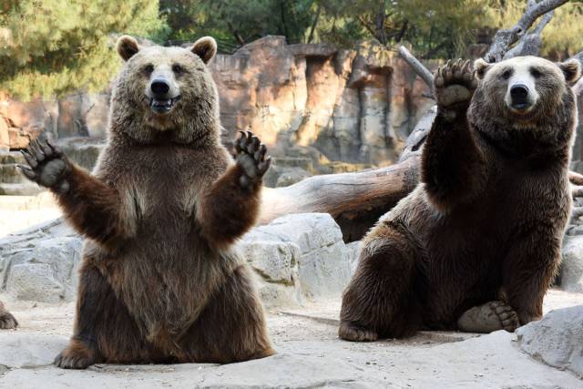 daily picdump 91 pics 10.html - 91 HD Photos | Premium Gallery 2016