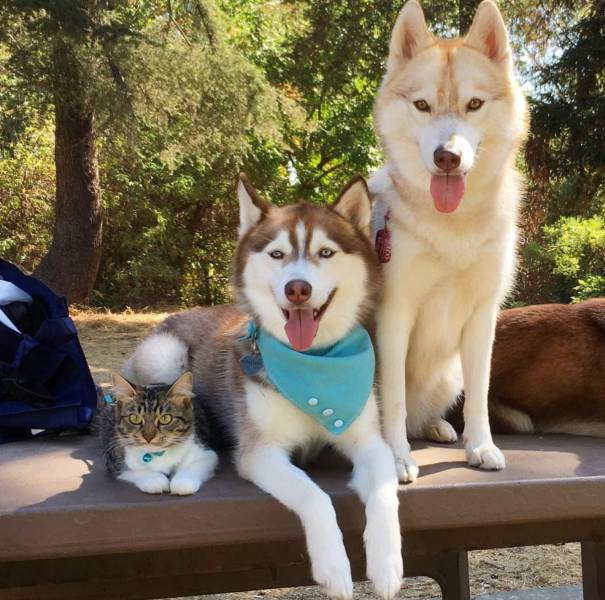 daily picdump 91 pics 10.html - 91 HD Photos | Premium Gallery 2016