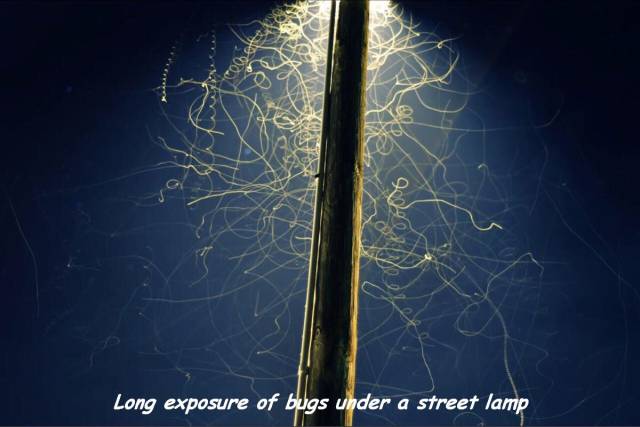 daily picdump 91 pics 10.html - 91 HD Photos | Premium Gallery 2016