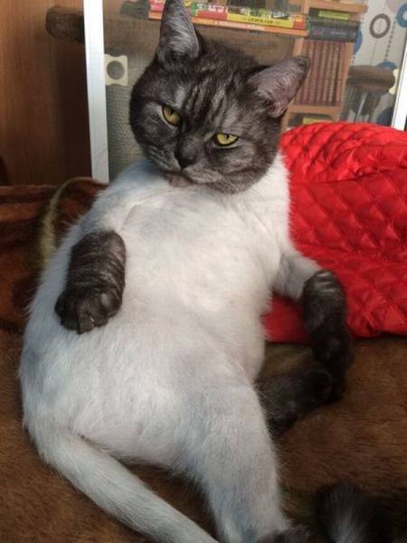 daily picdump 91 pics 10.html - 91 HD Photos | Premium Gallery 2016