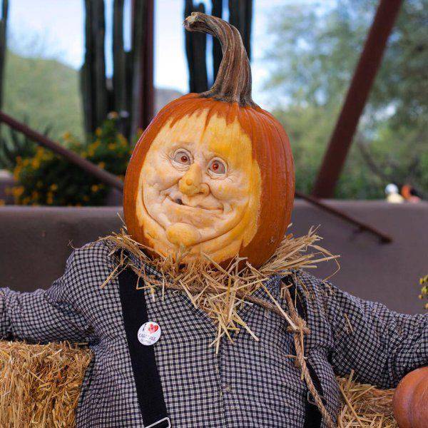 daily picdump 91 pics 10.html - 91 HD Photos | Premium Gallery 2016