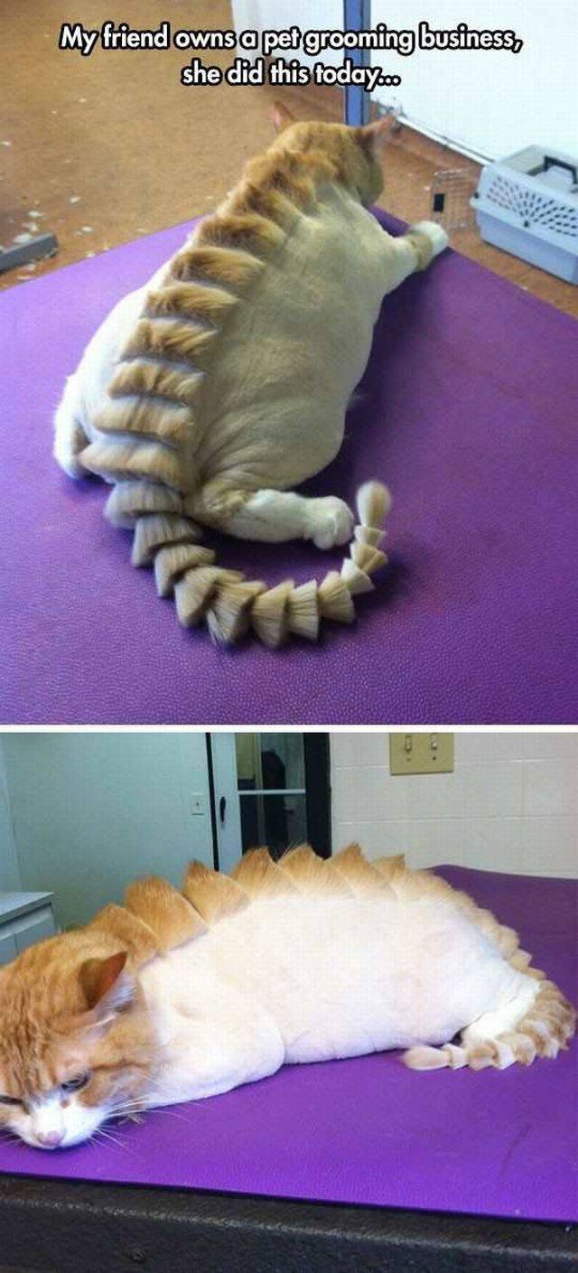 daily picdump 91 pics 10.html - 91 HD Photos | Premium Gallery 2016