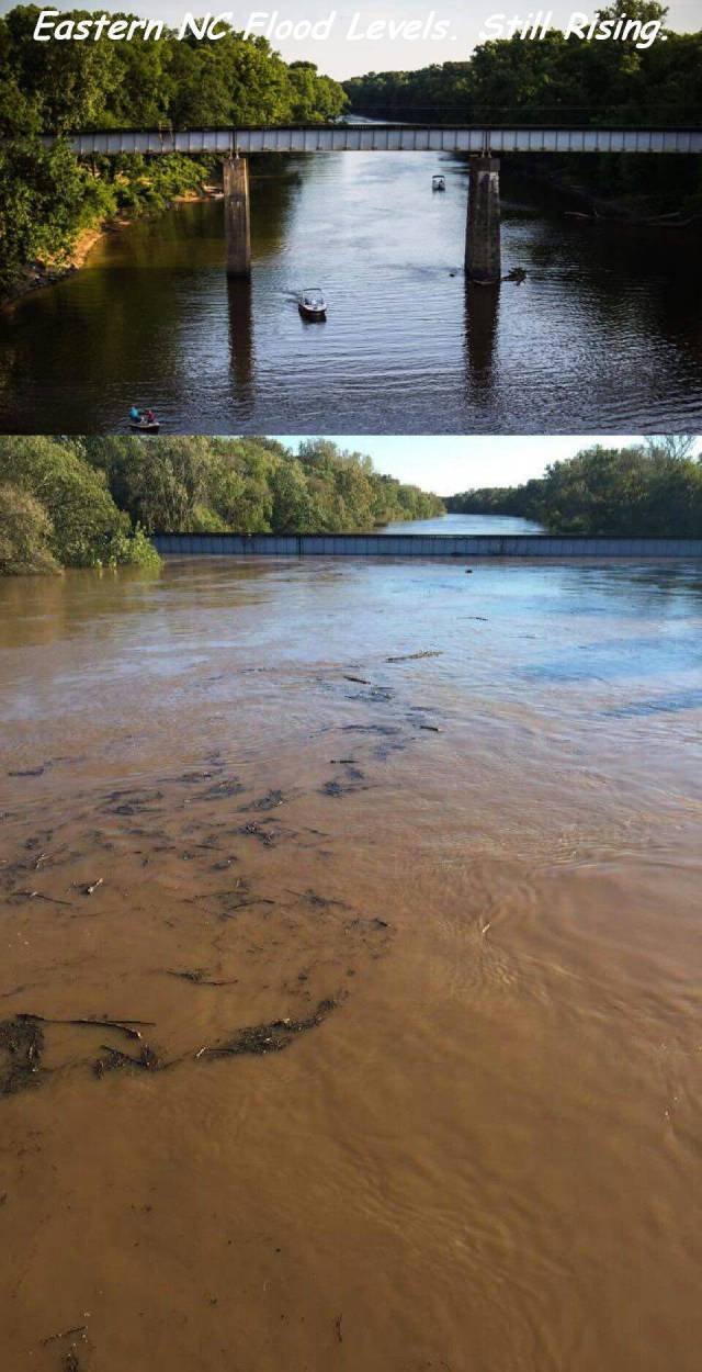 daily picdump 91 pics 10.html - 91 HD Photos | Premium Gallery 2016