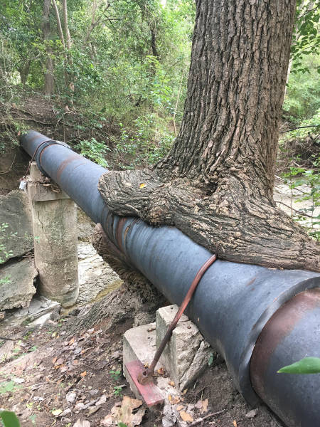 morning picdump 58 pics 18.html - 58 HD Photos | Premium Gallery 2016