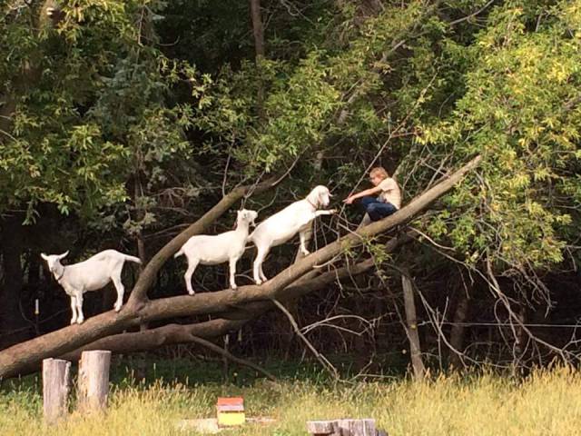 morning picdump 58 pics 18.html - 58 HD Photos | Premium Gallery 2016