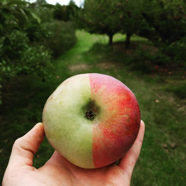 morning picdump 58 pics 18.html - 58 HD Photos | Premium Gallery 2016