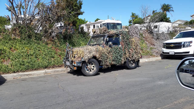 morning picdump 58 pics 18.html - 58 HD Photos | Premium Gallery 2016