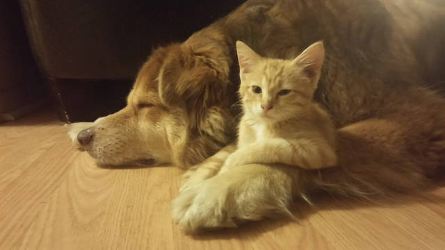 morning picdump 58 pics 18.html - 58 HD Photos | Premium Gallery 2016