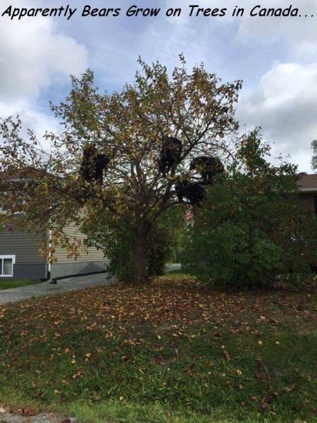 daily picdump 95 pics 35.html - 95 HD Photos | Premium Gallery 2016