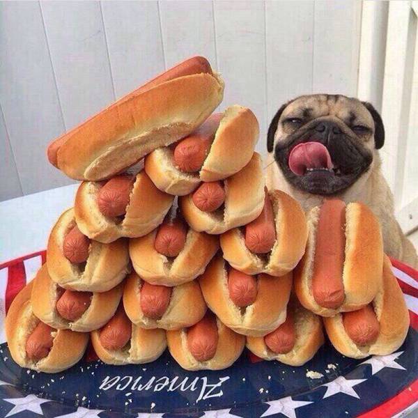 daily picdump 95 pics 35.html - 95 HD Photos | Premium Gallery 2016