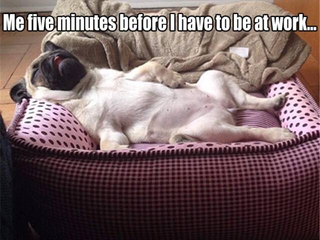 funny picdump 50 pics 21.html - 50 HD Photos | Premium Gallery 2016