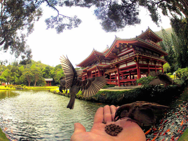 morning picdump 51 pics 10.html - 51 HD Photos | Premium Gallery 2016