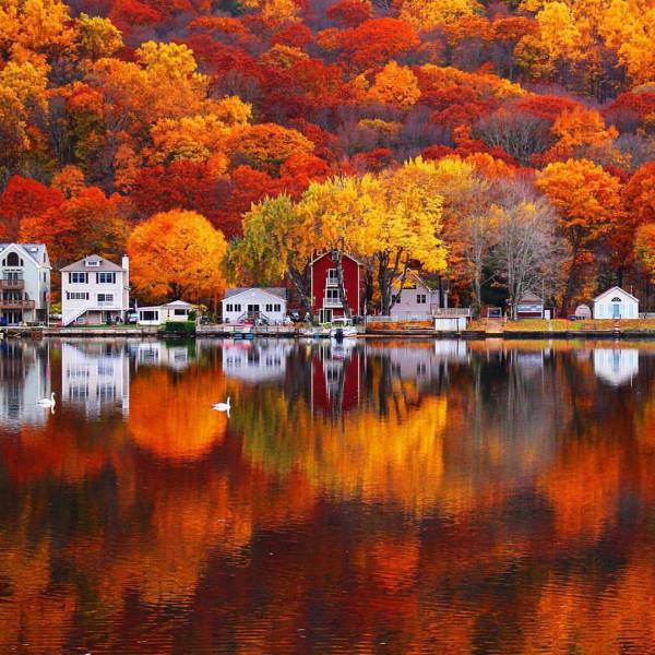 morning picdump 51 pics 10.html - 51 HD Photos | Premium Gallery 2016