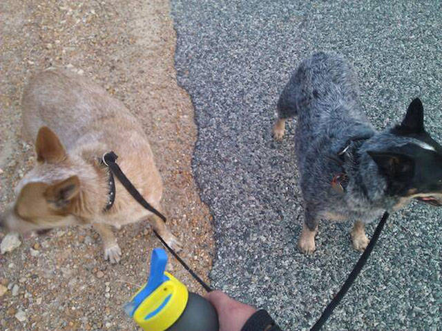 morning picdump 51 pics 10.html - 51 HD Photos | Premium Gallery 2016