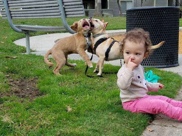 daily picdump 96 pics 36.html - 96 HD Photos | Premium Gallery 2016