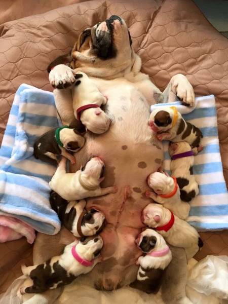 daily picdump 96 pics 36.html - 96 HD Photos | Premium Gallery 2016