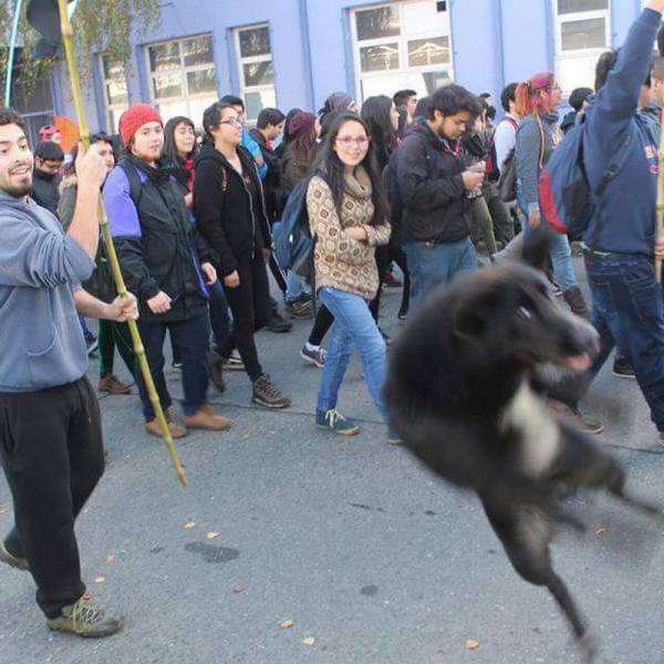 daily picdump 96 pics 36.html - 96 HD Photos | Premium Gallery 2016