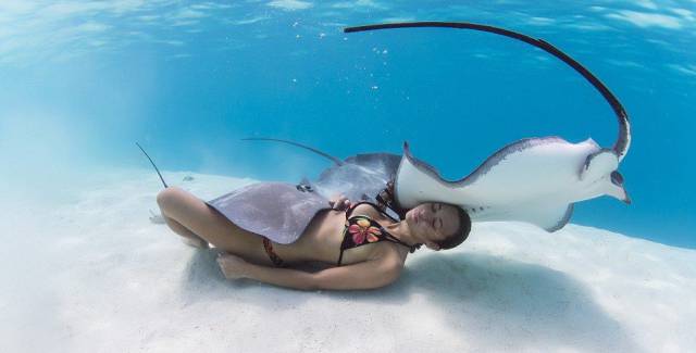 daily picdump 96 pics 36.html - 96 HD Photos | Premium Gallery 2016