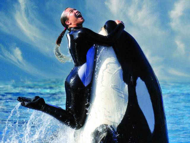 daily picdump 96 pics 36.html - 96 HD Photos | Premium Gallery 2016