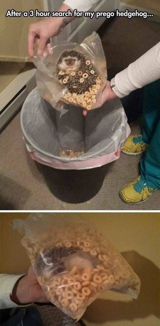 daily picdump 96 pics 36.html - 96 HD Photos | Premium Gallery 2016